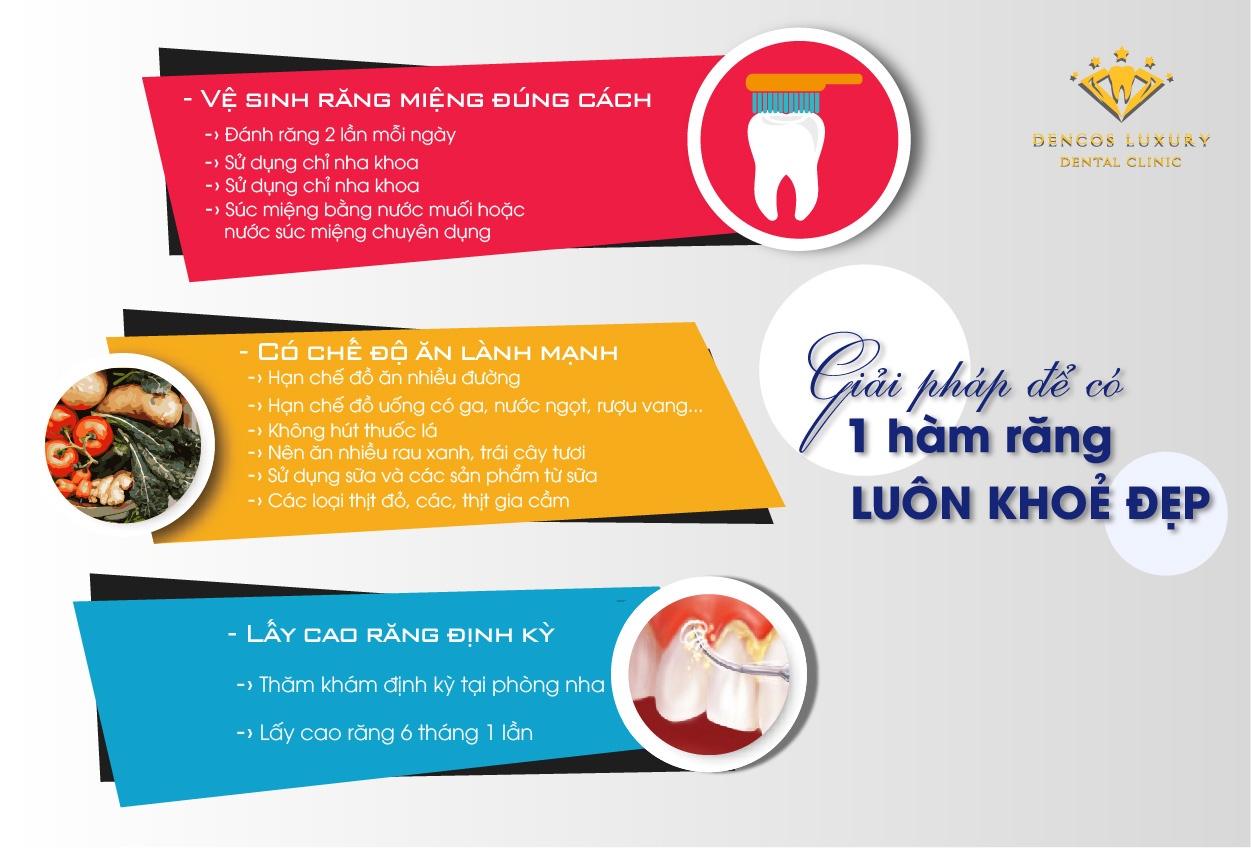 Chăm sóc răng miệng infographic